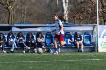 Bild 68 - F Hamburger SV 3 - Blau-Weiss 96 : Ergebnis: 5:1